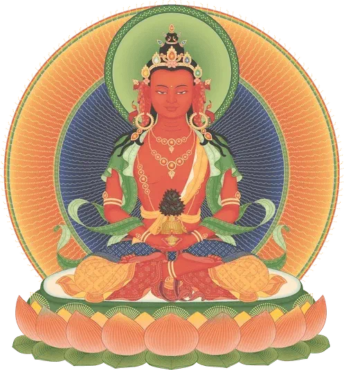 Amitayous